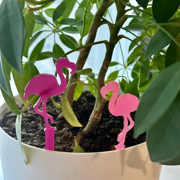 Flamingo Plant Buddies Set