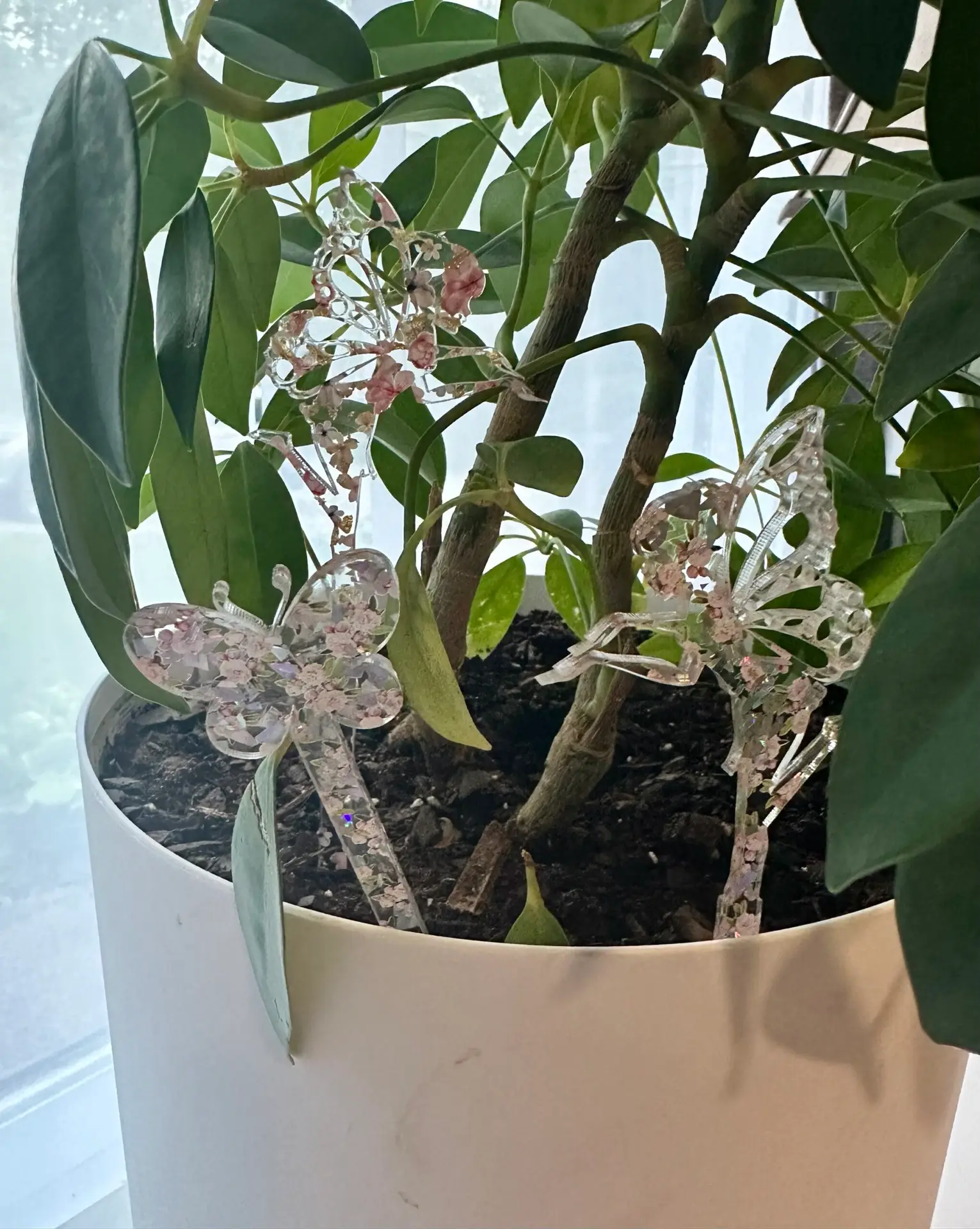 Fairy Garden Plant Buddy Set - Image 2