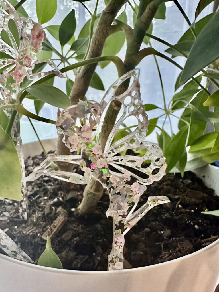 Fairy Garden Plant Buddy Set