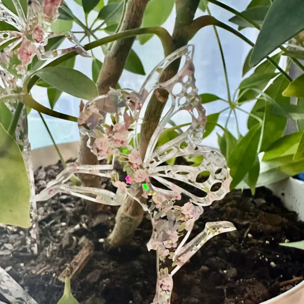 Fairy Garden Plant Buddy Set